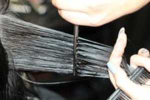 Free download Jorge Viota Hairdressing free photo or picture to be edited with GIMP online image editor