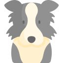 Joyful Border Collie  screen for extension Chrome web store in OffiDocs Chromium