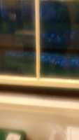 Free download JPEG_20160513_193316_-1016965830.jpg free photo or picture to be edited with GIMP online image editor