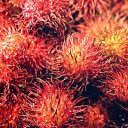 Juicy red rambutans  screen for extension Chrome web store in OffiDocs Chromium