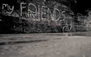 Free download just4friends-wall free photo or picture to be edited with GIMP online image editor