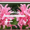 Justicia Carnea  screen for extension Chrome web store in OffiDocs Chromium