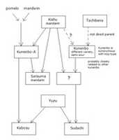 Free download kabosuSudachi-diagram2 free photo or picture to be edited with GIMP online image editor