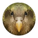 Kakapo for Chrome  screen for extension Chrome web store in OffiDocs Chromium
