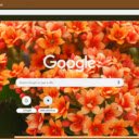 Kalanchoe  screen for extension Chrome web store in OffiDocs Chromium