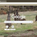 Kangaroo  screen for extension Chrome web store in OffiDocs Chromium