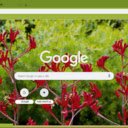 Kangaroo Paw  screen for extension Chrome web store in OffiDocs Chromium