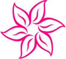 Free download Kanji Pink Flower free photo or picture to be edited with GIMP online image editor