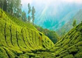 Free download kerala free photo or picture to be edited with GIMP online image editor