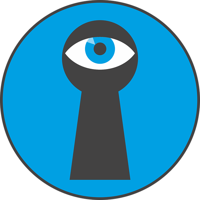 Free download Key Hole Eye By Looking - Free vector graphic on Pixabay free illustration to be edited with GIMP free online image editor