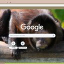 Khi Capuchin  screen for extension Chrome web store in OffiDocs Chromium