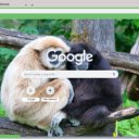 Khi Gibbon  screen for extension Chrome web store in OffiDocs Chromium