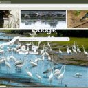 Khu sinh thái Giao Xuân  screen for extension Chrome web store in OffiDocs Chromium
