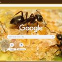 Kien  screen for extension Chrome web store in OffiDocs Chromium