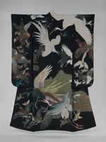 Free download Kimono with Birds in Flight free photo or picture to be edited with GIMP online image editor