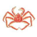 หน้าจอ King Crab สำหรับส่วนขยาย Chrome เว็บสโตร์ใน OffiDocs Chromium