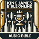 KingJamesBibleOnline.org Bible Audio Continuous Playback  screen for extension Chrome web store in OffiDocs Chromium