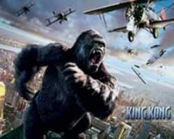 دانلود رایگان King Kong، 2005، جک بلک عکس یا عکس رایگان برای ویرایش با ویرایشگر تصویر آنلاین GIMP