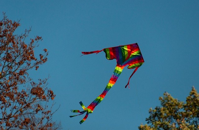 Free download kite wind dragon fall free picture to be edited with GIMP free online image editor