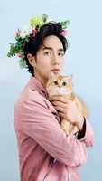 Free download Kitten And Flowers free photo or picture to be edited with GIMP online image editor