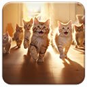 Kittens  screen for extension Chrome web store in OffiDocs Chromium