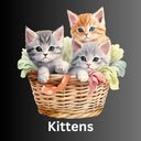 Kittens  screen for extension Chrome web store in OffiDocs Chromium