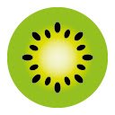 Kiwi Merch  screen for extension Chrome web store in OffiDocs Chromium