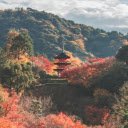 Kiyomizu Temple in Forest in Kyoto in Japan  screen for extension Chrome web store in OffiDocs Chromium