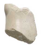 Free download knee fragment (?), probably male free photo or picture to be edited with GIMP online image editor