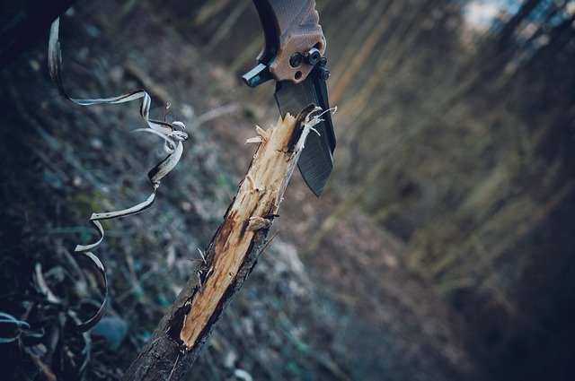 Free download knife forest di nature wild free picture to be edited with GIMP free online image editor