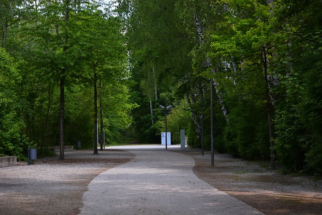 Kostenloser Download konzentrationslager dachau history free picture to edit with GIMP free online image editor