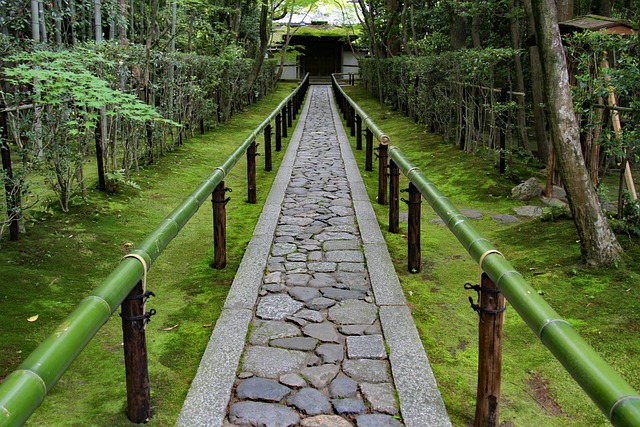 Download gratuito di koto nel tempio di kyoto in giappone immagine gratuita di bambù da modificare con l'editor di immagini online gratuito GIMP