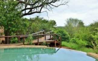 Free download Kruger National Park Safaris free photo or picture to be edited with GIMP online image editor