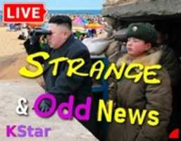 Free download KStar Strange 1 free photo or picture to be edited with GIMP online image editor