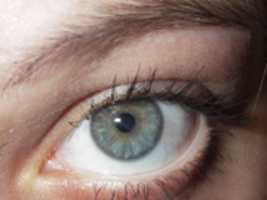 Free download ksusha-eye free photo or picture to be edited with GIMP online image editor