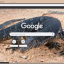Ky da  screen for extension Chrome web store in OffiDocs Chromium