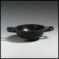 Free download Kylix, stemless free photo or picture to be edited with GIMP online image editor