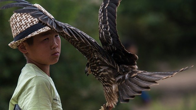 Téléchargement gratuit d'une image gratuite des chasseurs d'aigles du Kirghizistan à modifier avec l'éditeur d'images en ligne gratuit GIMP