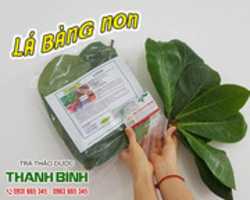 Free download la-bang-non-mua-tai-thao-duoc-thanh-binh-chat-luong free photo or picture to be edited with GIMP online image editor