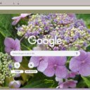 Lacecap Hydrangea  screen for extension Chrome web store in OffiDocs Chromium