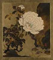 Free download Lacquer Paintings of Various Subjects: Peonies free photo or picture to be edited with GIMP online image editor