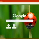 Ladybug  screen for extension Chrome web store in OffiDocs Chromium
