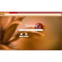 Ladybug  screen for extension Chrome web store in OffiDocs Chromium