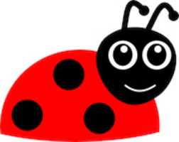 Free download ladybug-152281__340 free photo or picture to be edited with GIMP online image editor