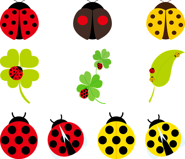 دانلود رایگان Ladybug Red Yellow - تصویر رایگان برای ویرایش با ویرایشگر تصویر آنلاین رایگان GIMP