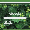Lady’s Mantle  screen for extension Chrome web store in OffiDocs Chromium