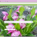 Lady’s Slipper Orchid  screen for extension Chrome web store in OffiDocs Chromium