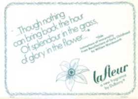 Free download Lafleur by DuBarry Fragrance Perfume Ad free photo or picture to be edited with GIMP online image editor