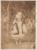 Free download La fouriure free photo or picture to be edited with GIMP online image editor