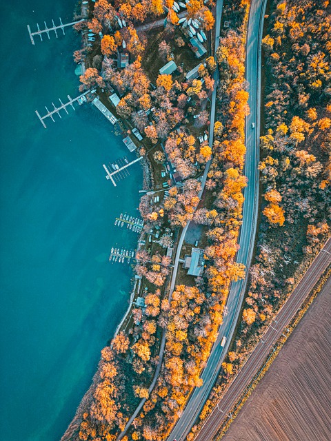 Gratis download lake fall leipzig duitsland drone gratis foto om te bewerken met GIMP gratis online afbeeldingseditor